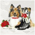 Solid Storage Supplies Collie Unframed Free Floating Tempered Glass Panel Graphic Dog Wall Art Print - 20 x 20 in. SO2948385